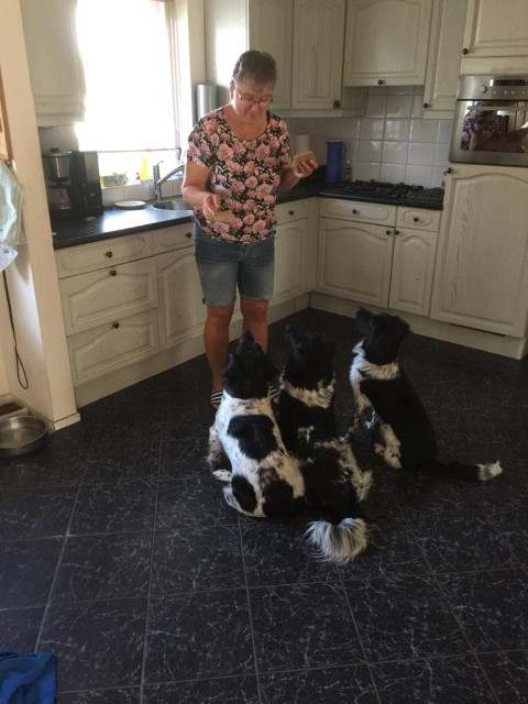 Annie Sibma met haar honden (mei 2021)